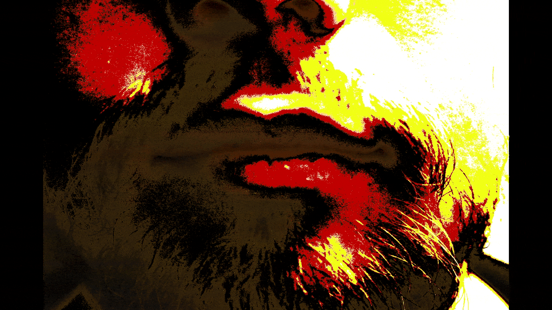 Two Sides To Every View 